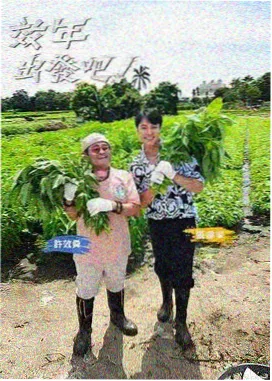 深夜书房综艺海报
